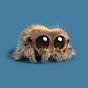 Lucas the Spider